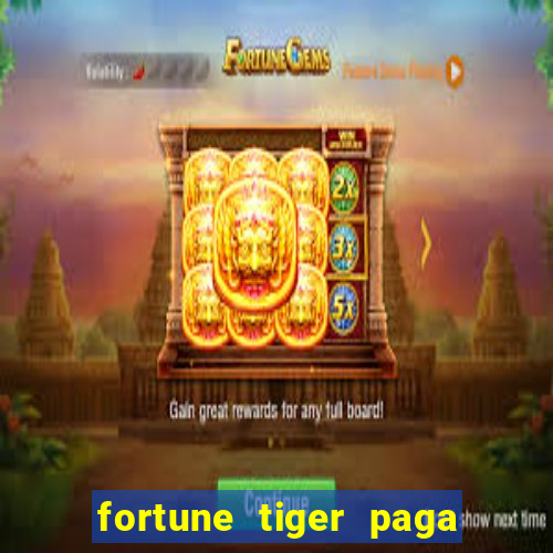 fortune tiger paga de madrugada